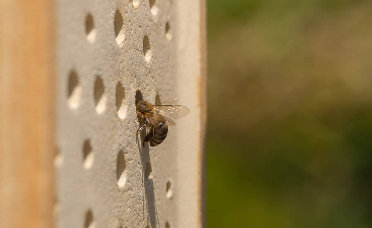 Denk-Keramik Wildbienenhaus